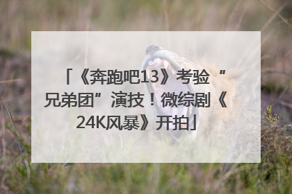 《奔跑吧13》考验“兄弟团”演技！微综剧《24K风暴》开拍