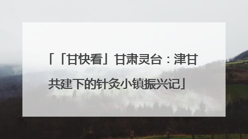 「甘快看」甘肃灵台：津甘共建下的针灸小镇振兴记