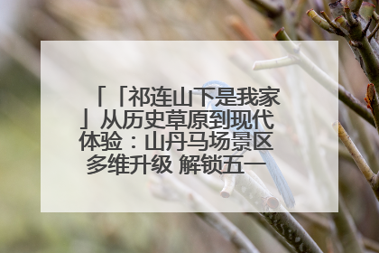 「祁连山下是我家」从历史草原到现代体验：山丹马场景区多维升级 解锁五一文旅新玩法