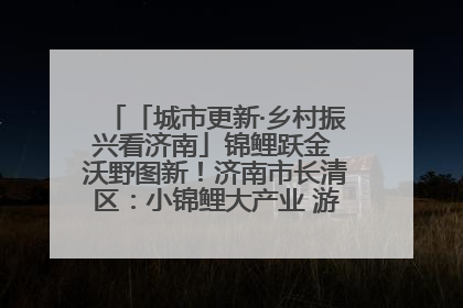 「城市更新·乡村振兴看济南」锦鲤跃金 沃野图新！济南市长清区：小锦鲤大产业 游出农旅新风景