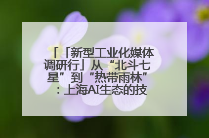 「新型工业化媒体调研行」从“北斗七星”到“热带雨林”：上海AI生态的技术商业共生密码