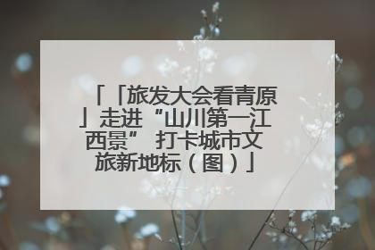 「旅发大会看青原」走进“山川第一江西景” 打卡城市文旅新地标（图）