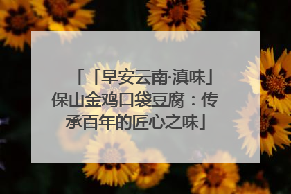 「早安云南·滇味」保山金鸡口袋豆腐：传承百年的匠心之味