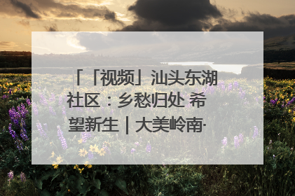 「视频」汕头东湖社区：乡愁归处 希望新生｜大美岭南·百村焕新记