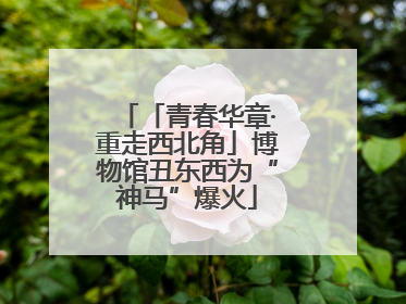 「青春华章·重走西北角」博物馆丑东西为“神马”爆火