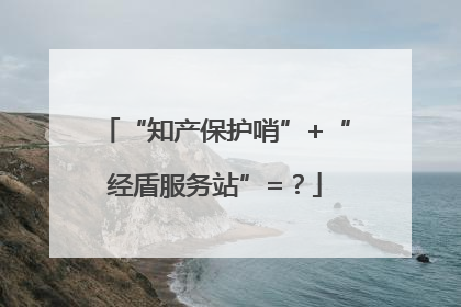 “知产保护哨”+“经盾服务站”=？