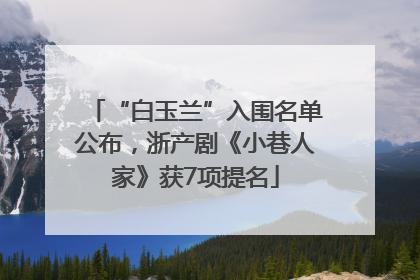 “白玉兰”入围名单公布，浙产剧《小巷人家》获7项提名