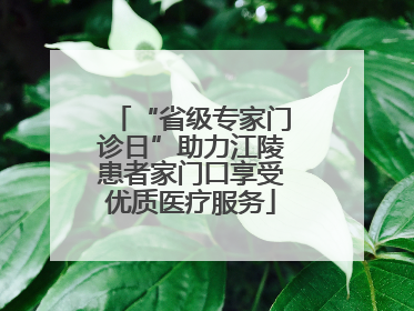 “省级专家门诊日”助力江陵患者家门口享受优质医疗服务