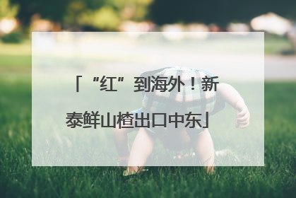 “红”到海外！新泰鲜山楂出口中东