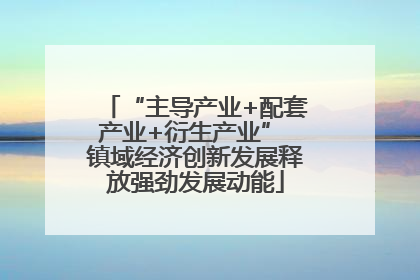 “主导产业+配套产业+衍生产业” 镇域经济创新发展释放强劲发展动能