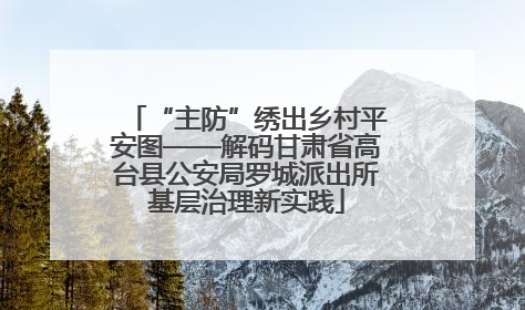 “主防”绣出乡村平安图——解码甘肃省高台县公安局罗城派出所基层治理新实践