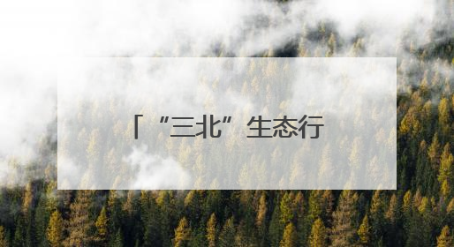 “三北”生态行：从“黄沙蔽日”到“绿毯铺野”——浑善达克沙地的“绿色重生”