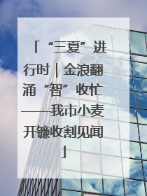 “三夏”进行时｜金浪翻涌“智”收忙——我市小麦开镰收割见闻