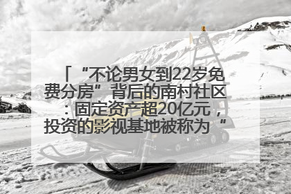 “不论男女到22岁免费分房”背后的南村社区：固定资产超20亿元，投资的影视基地被称为“山村好莱坞”