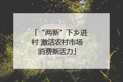 “两新”下乡进村 激活农村市场消费新活力