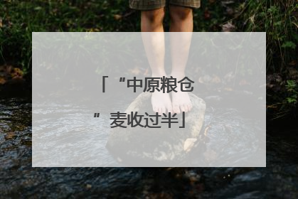 “中原粮仓”麦收过半