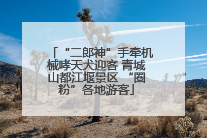 “二郎神”手牵机械哮天犬迎客 青城山都江堰景区 “圈粉”各地游客