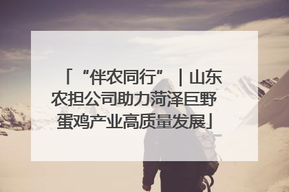 “伴农同行”｜山东农担公司助力菏泽巨野蛋鸡产业高质量发展