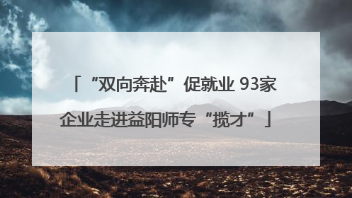 “双向奔赴”促就业 93家企业走进益阳师专“揽才”