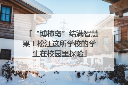 “博柿岛”结满智慧果！松江这所学校的学生在校园里探险