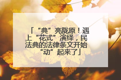 “典”亮陇原！遇上“花式”演绎，民法典的法律条文开始“动”起来了
