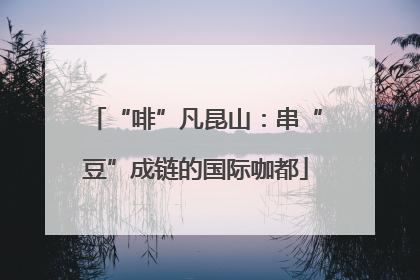“啡”凡昆山：串“豆”成链的国际咖都