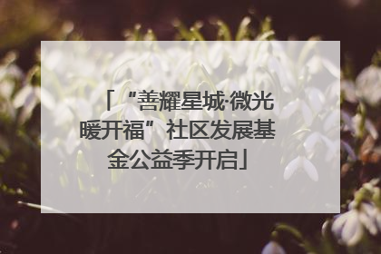 “善耀星城·微光暖开福”社区发展基金公益季开启