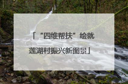 “四维帮扶”绘就莲湖村振兴新图景