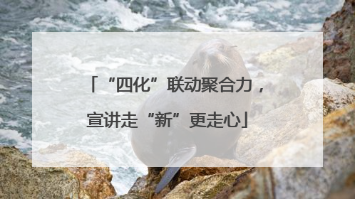 “四化”联动聚合力，宣讲走“新”更走心