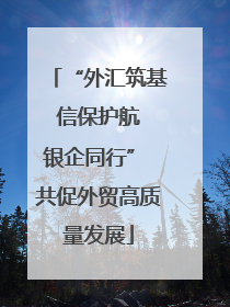 “外汇筑基 信保护航 银企同行” 共促外贸高质量发展