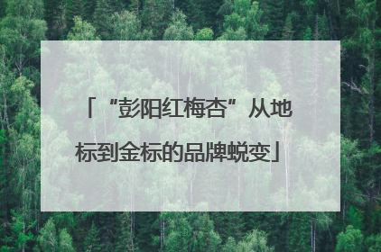 “彭阳红梅杏”从地标到金标的品牌蜕变