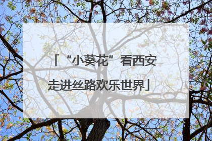 “小葵花”看西安走进丝路欢乐世界