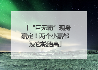 “巨无霸”现身嘉定！两个小嘉都没它轮胎高