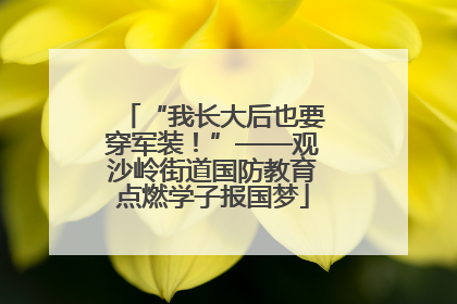 “我长大后也要穿军装！”——观沙岭街道国防教育点燃学子报国梦