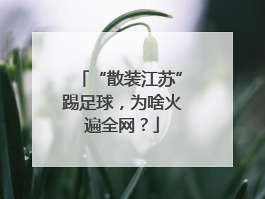 “散装江苏”踢足球，为啥火遍全网？