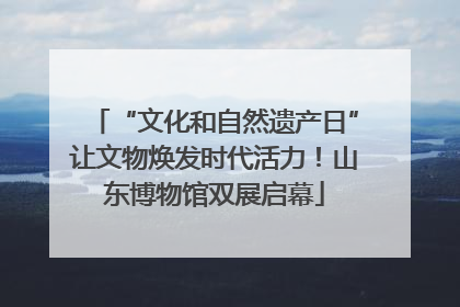 “文化和自然遗产日”让文物焕发时代活力！山东博物馆双展启幕