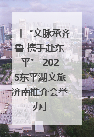 “文脉承齐鲁 携手赴东平” 2025东平湖文旅济南推介会举办