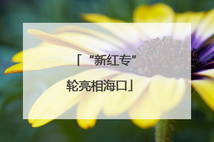 “新红专”轮亮相海口