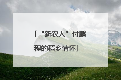 “新农人”付鹏程的稻乡情怀