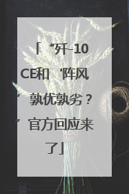 “歼-10CE和‘阵风’孰优孰劣？”官方回应来了