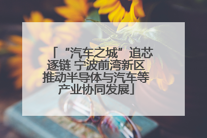 “汽车之城”追芯逐链 宁波前湾新区推动半导体与汽车等产业协同发展