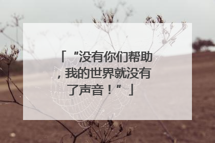 “没有你们帮助，我的世界就没有了声音！”