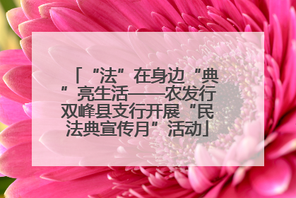 “法”在身边“典”亮生活——农发行双峰县支行开展“民法典宣传月”活动