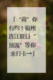 “荷”你有约！福州连江夏日“顶流”等你来打卡→