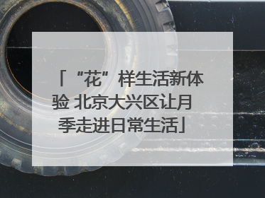 “花”样生活新体验 北京大兴区让月季走进日常生活