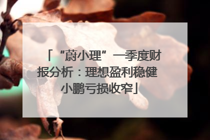“蔚小理”一季度财报分析：理想盈利稳健 小鹏亏损收窄