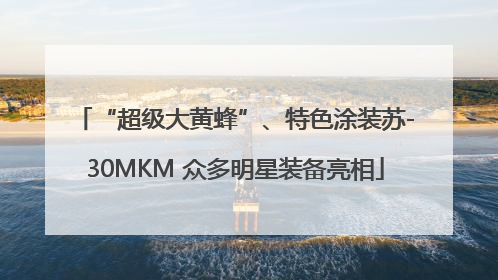 “超级大黄蜂”、特色涂装苏-30MKM 众多明星装备亮相