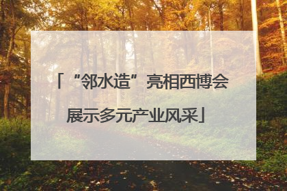 “邻水造”亮相西博会 展示多元产业风采