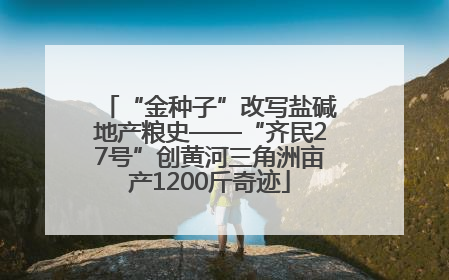 “金种子”改写盐碱地产粮史——“齐民27号”创黄河三角洲亩产1200斤奇迹
