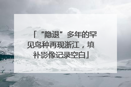 “隐退”多年的罕见鸟种再现浙江，填补影像记录空白